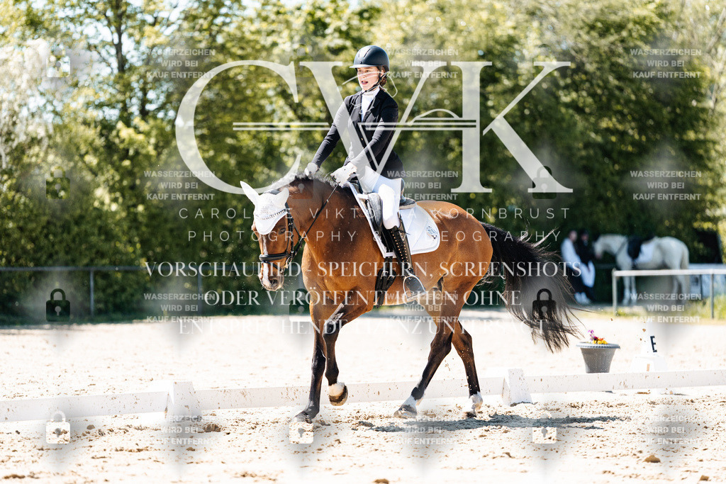 CK905920 | Turnierfotografie Pferdefotografie Trier Rheinland-Pfalz Pferdesport Reitsport Tierfotografie Sportfotografie Pferdevideo Pferdevideografie Equestrianvideography equestrianphotography  - Realisiert mit Pictrs.com