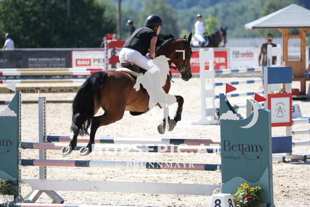 PP016861 | Willkommen bei Brunnmayr - Design & Fotografie – Ihrem Spezialisten für Reitturniere und Pferdeveranstaltungen in Oberösterreich, Salzburg und Bayern! Seit über 17 Jahren sind wir leidenschaftlich dabei.