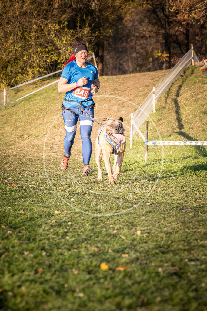 CaniXpix_0L8A0861 | Hundefotografie, Tierfotograf, Pfotenfotografie, Fotoshooting Hund, Hunde Portrait, Hundesport, Hundeportraits, Heideshooting, Hunde, Sportfotograf, Hundefotograf, Turnierhundsport, THS,  - Realisiert mit Pictrs.com
