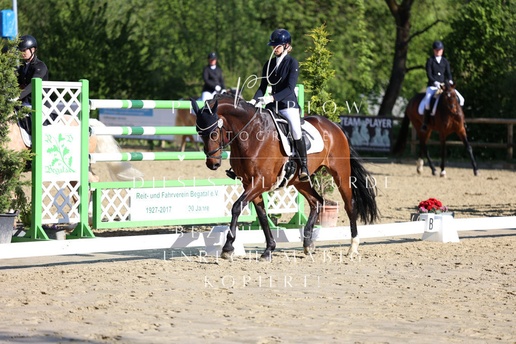 IMGT9573 | pl-fotografie