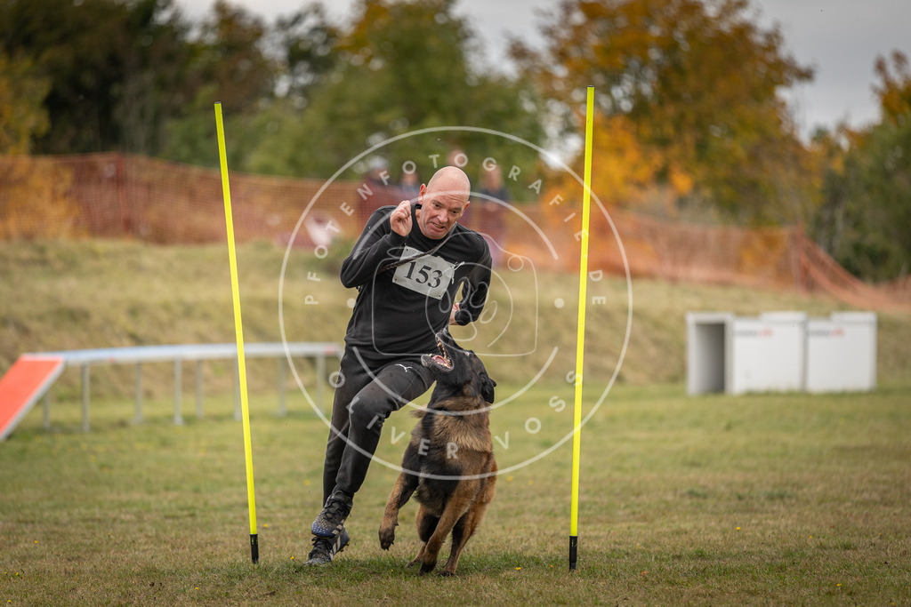 Pfotenfotografie_DV3A6303 | Hundefotografie, Tierfotograf, Pfotenfotografie, Fotoshooting Hund, Hunde Portrait, Hundesport, Hundeportraits, Heideshooting, Hunde, Sportfotograf, Hundefotograf, Turnierhundsport, THS,  - Realisiert mit Pictrs.com