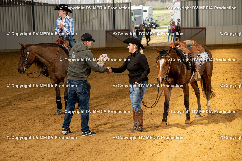 MIT00324 | dv-media-shop - Realisiert mit Pictrs.com