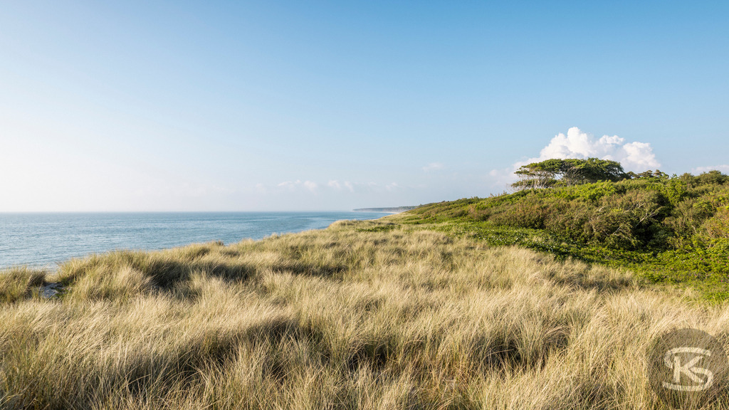 Weststrand Fischland-Darß-Zingst – Naturstrand mit Dünen und Ostsee | Der Weststrand auf Fischland-Darß-Zingst beeindruckt mit wilder Natur, Dünenlandschaften und weitem Blick über die Ostsee. Ein ursprünglicher Küstenabschnitt im Nationalpark Vorpommersche Boddenlandschaft. - Realisiert mit Pictrs.com