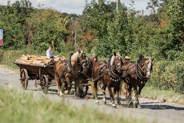 7V6A2220 | natalia-nirschl-photography