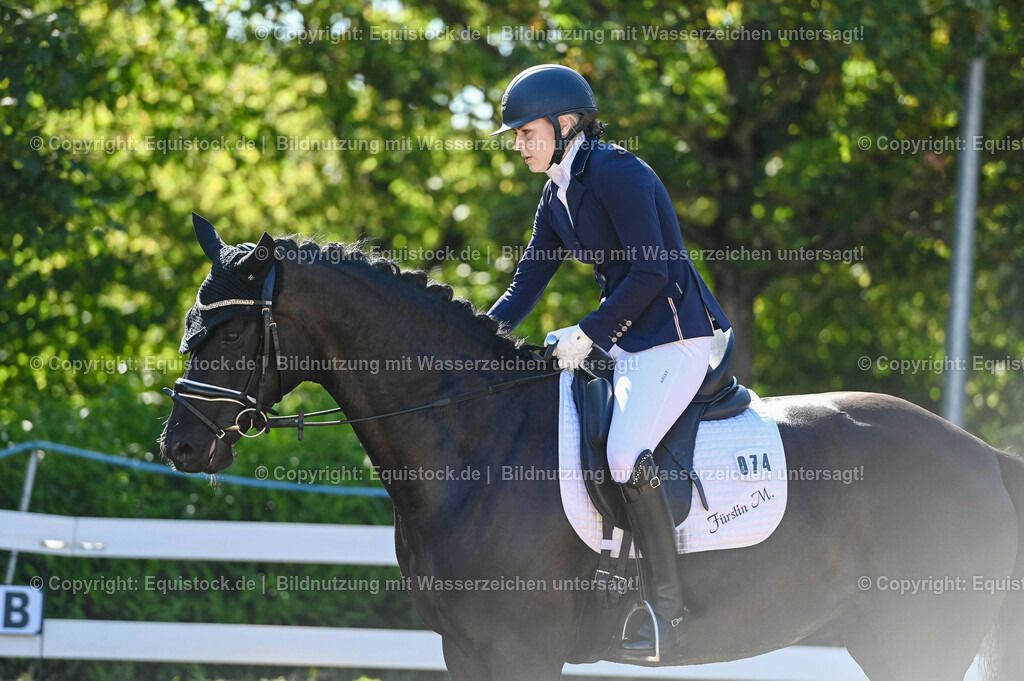 20230715_06_Dressurpferdeprfg. Kl.A_0266 | equistock