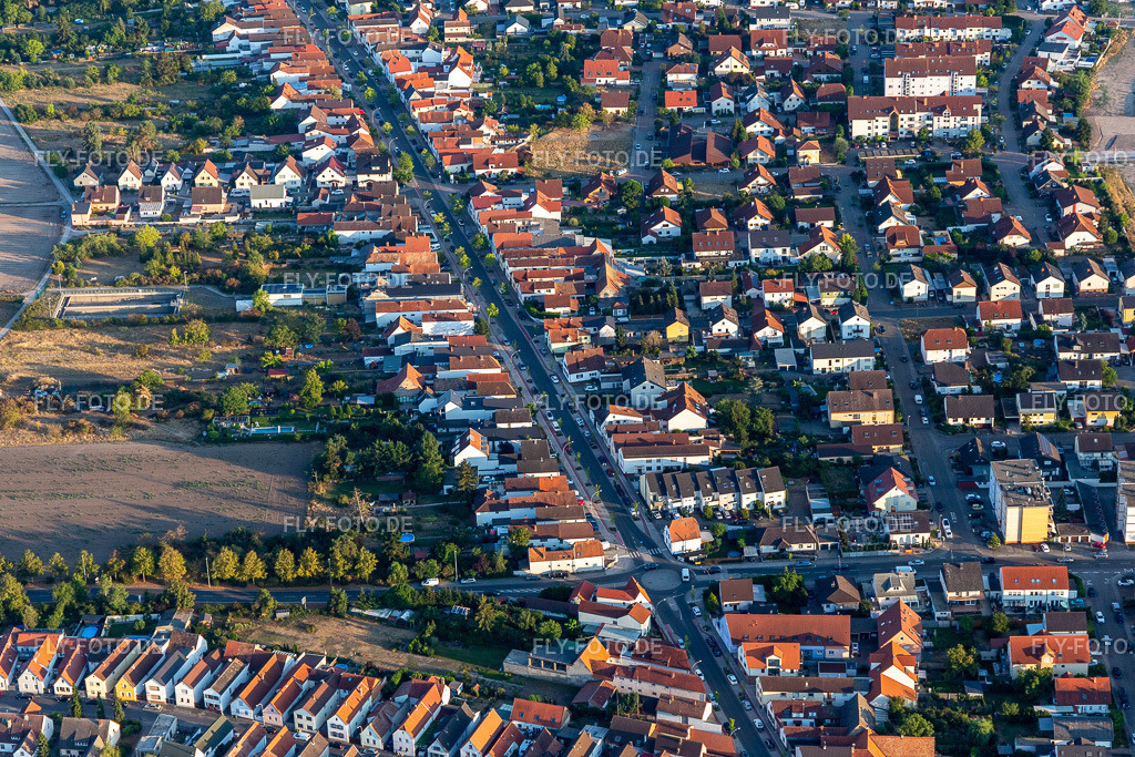 Rennbahnstraße www.hassloch.de | Luftbild: Rennbahnstraße www.hassloch.de in Haßloch im Bundesland Rheinland-Pfalz in Deutschland. Foto: IMG_133830.jpg vom 16.08.2022 durch ©2025 Werner Riehm fly-foto.de/copyright - Realisiert mit Pictrs.com