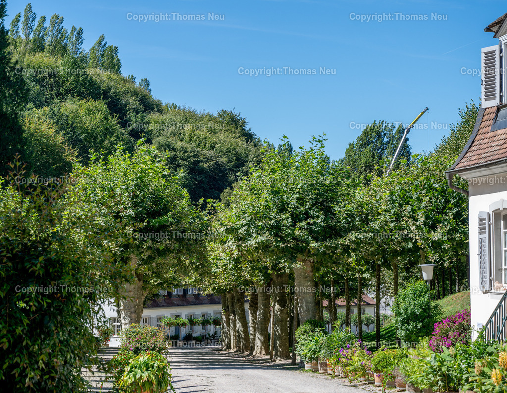 DSC_7926 | Der Staatspark Fürstenlager in Bensheim Auerbach, an der hessischen Bergstraße- ist ein wunderschöner Landschaftspark nach englischen Vorbild. Es war die Sommerresidenz der Darmstädter Fürstenfamilie die hier das "einfache Landleben" genossen. Zu jeder Jahreszeit kann man das Fürstenlager als Ausflugsziel empfehlen. Im Herrenhaus ist eine Gastronomie untergebracht. Im Sommer findet auf der Bühne vor der großen Wiese ein Opern-Air statt, 