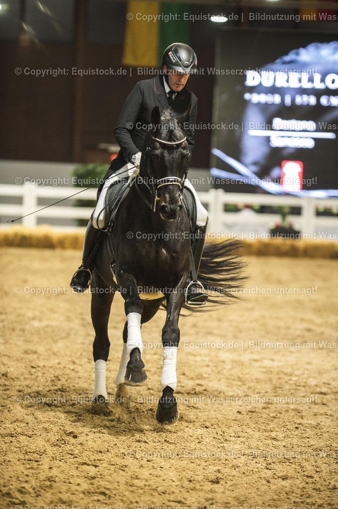 20240302_Hengstvorstellung_Marbach_TOMsPiC_1460 | equistock