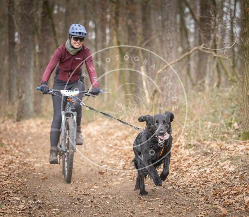 Pfotenfotografie_DV3A5913 | Hundefotografie, Tierfotograf, Pfotenfotografie, Fotoshooting Hund, Hunde Portrait, Hundesport, Hundeportraits, Heideshooting, Hunde, Sportfotograf, Hundefotograf, Turnierhundsport, THS,  - Realisiert mit Pictrs.com