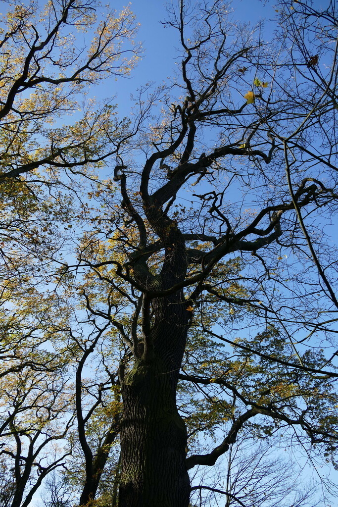 P2720289 | Annaeherungen - Realisiert mit Pictrs.com