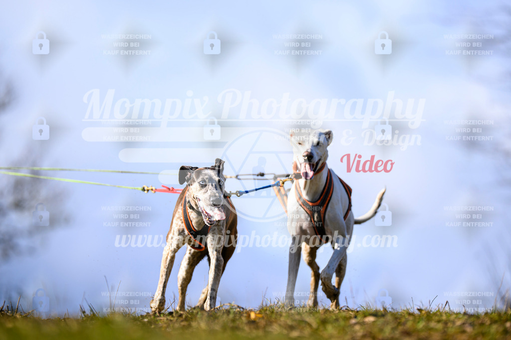 MompixPhotography_2OATB_SO_Scooter-15 | PayLife