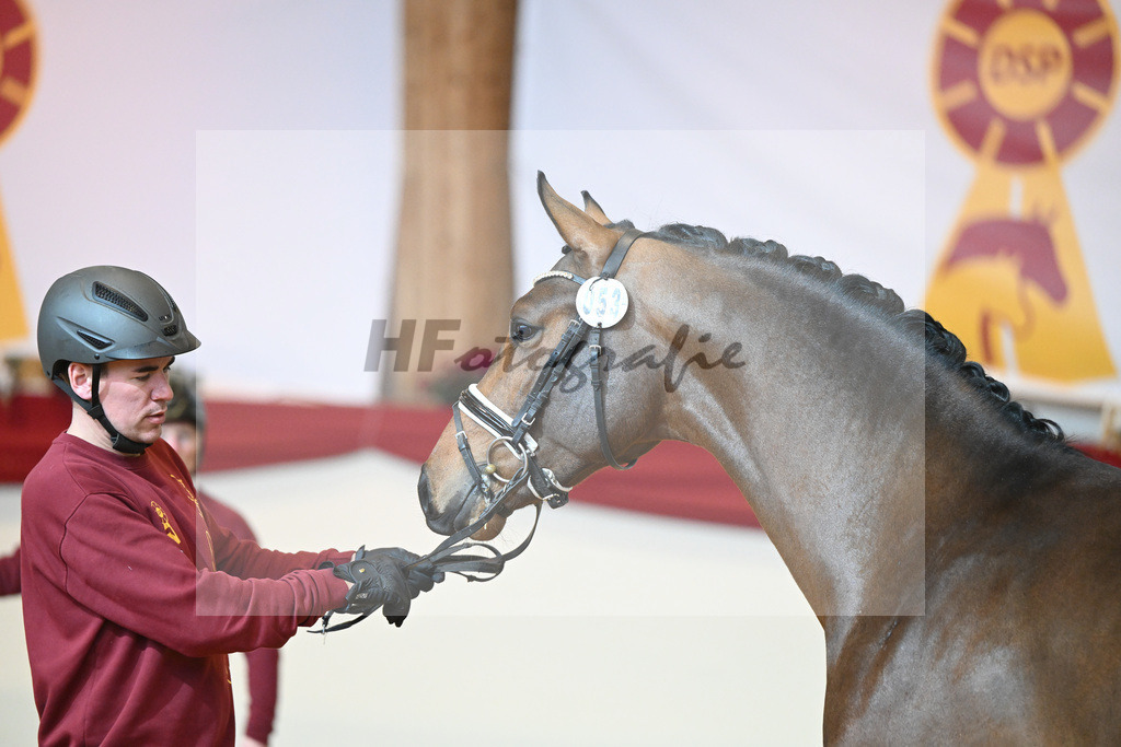 Kat-Nr. 53 For Dance_Haefner_1231327 | hf-fotografie - Realisiert mit Pictrs.com