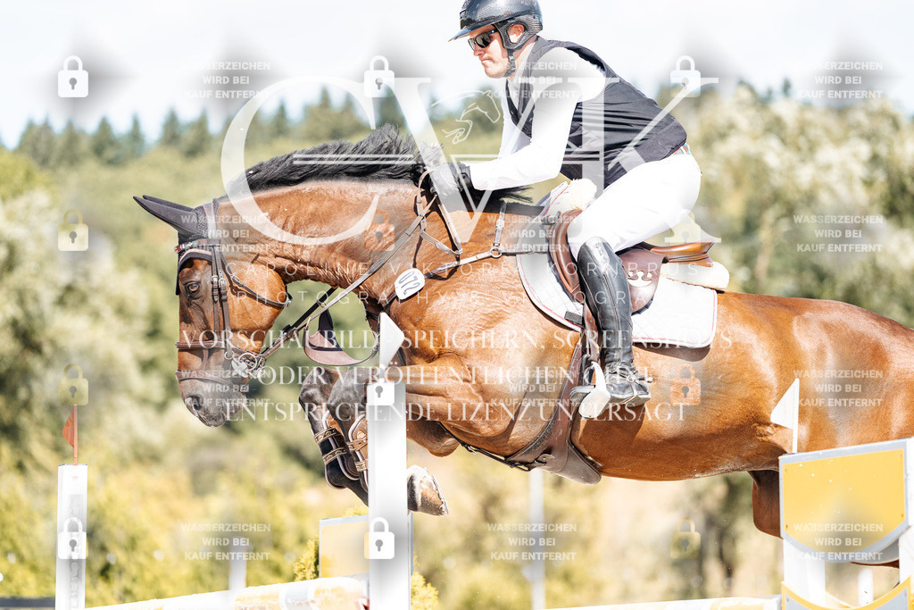 CK909078 | Turnierfotografie Pferdefotografie Trier Rheinland-Pfalz Pferdesport Reitsport Tierfotografie Sportfotografie Pferdevideo Pferdevideografie Equestrianvideography equestrianphotography  - Realisiert mit Pictrs.com