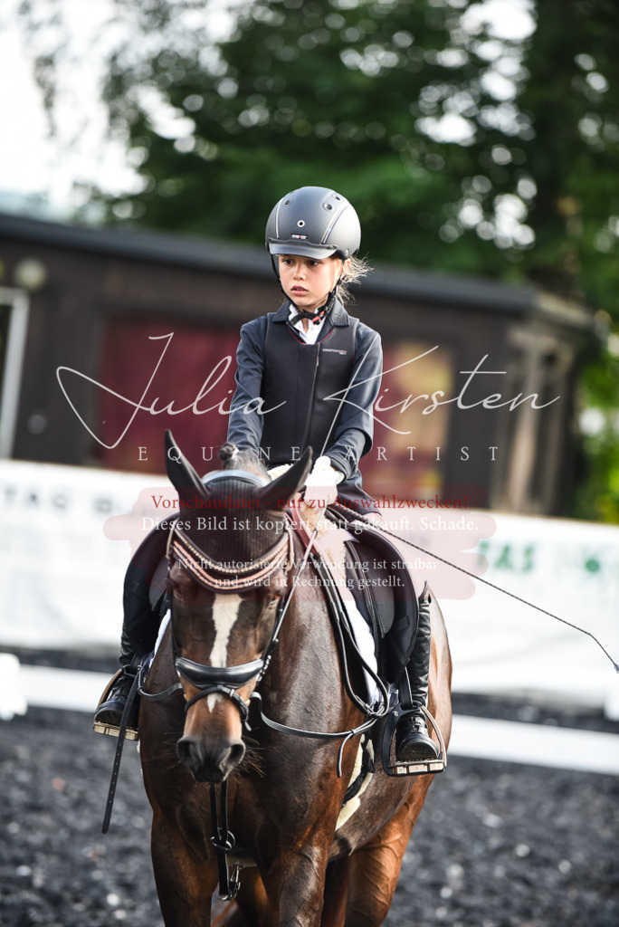 DSC_3528 | Pferde- und Turnierfotografie in Westsachsen. Pferdeportraits, Auftragszeichnungen und intuitive Kunst.