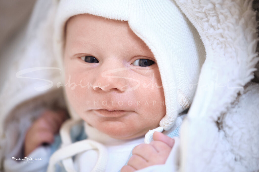 Newborn | People- und Tierfotografie, Imageaufnahmen, Veranstaltungsfotografie und Wandbilder aus der Natur ★ Made in Germany ✔️ Druck + Downloads ✔️ Naturfotografie in Top Qualität ★ schneller Versand, weltweite Lieferung! - Realisiert mit Pictrs.com