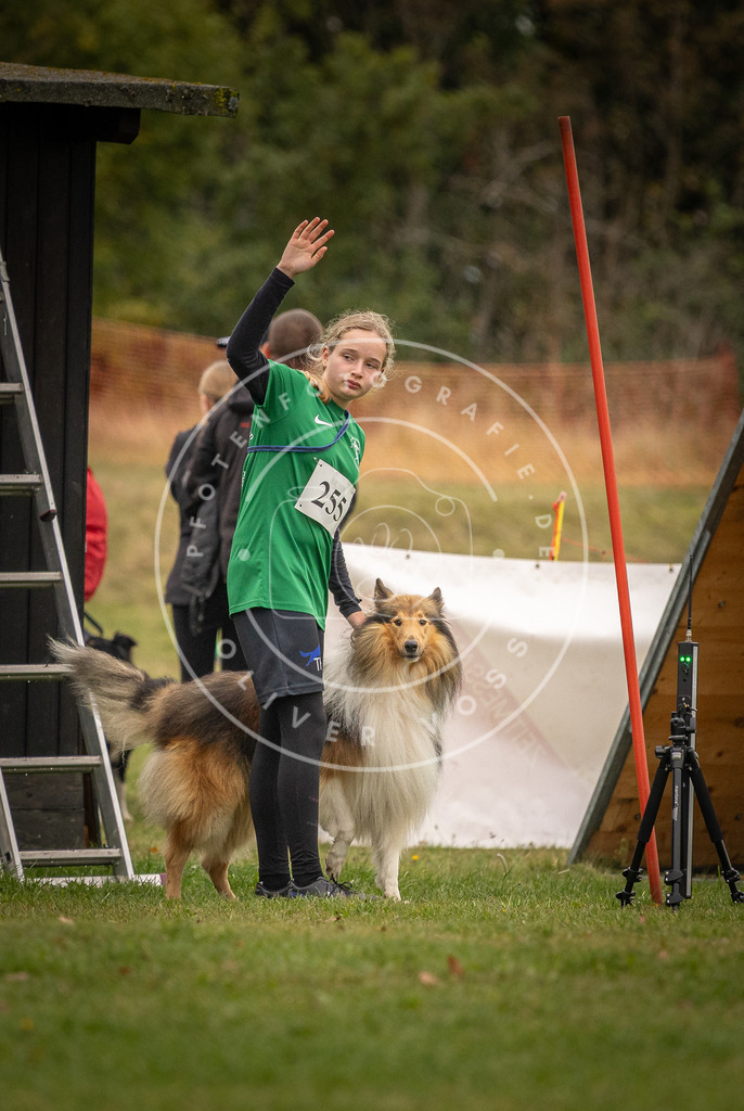 Pfotenfotografie_DV3A6608 | Hundefotografie, Tierfotograf, Pfotenfotografie, Fotoshooting Hund, Hunde Portrait, Hundesport, Hundeportraits, Heideshooting, Hunde, Sportfotograf, Hundefotograf, Turnierhundsport, THS,  - Realisiert mit Pictrs.com