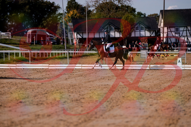 2026_10_03_Siefer-Hof_115612_Z81_96381780 | Professionelle Reitsport-, Turnier- und Eventfotografie von Robert Broda. Galerien mit ausgewählten und bearbeiteten Bildern direkt online ansehen und bestellen.