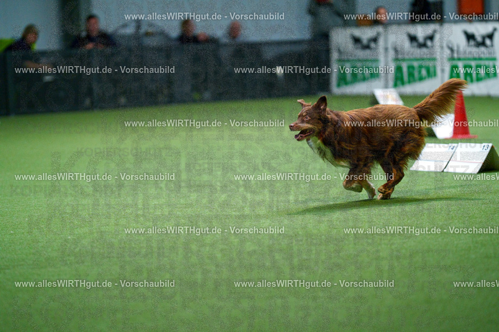 7R500872 | Professionelle Tierfotografie in Mönchengladbach von Daniel Wirth (allesWIRTHgut). Liebevolle & natürliche Bilder von Hunden & Katzen für unvergessliche Erinnerungen.