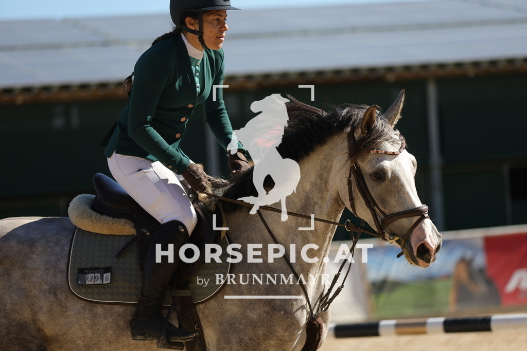 0P6A8250 | Willkommen bei Brunnmayr - Design & Fotografie – Ihrem Spezialisten für Reitturniere und Pferdeveranstaltungen in Oberösterreich, Salzburg und Bayern! Seit über 17 Jahren sind wir leidenschaftlich dabei.