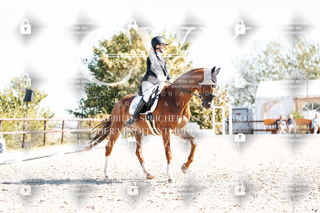 CK909175 | Turnierfotografie Pferdefotografie Trier Rheinland-Pfalz Pferdesport Reitsport Tierfotografie Sportfotografie Pferdevideo Pferdevideografie Equestrianvideography equestrianphotography  - Realisiert mit Pictrs.com