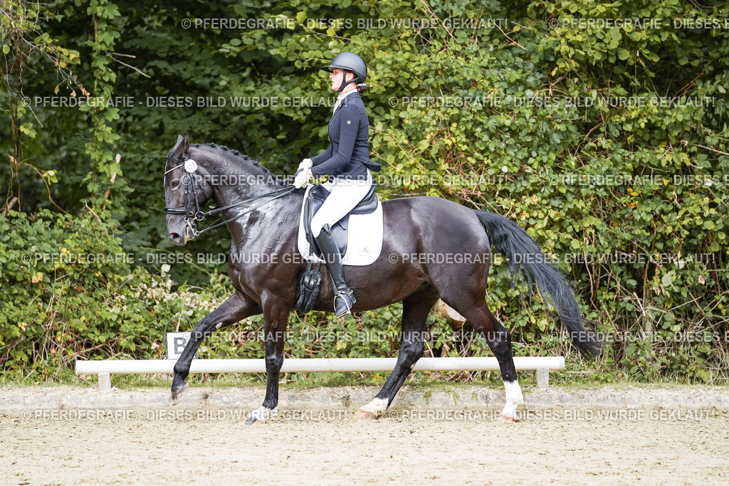 DSC05451 | Pferdegrafie