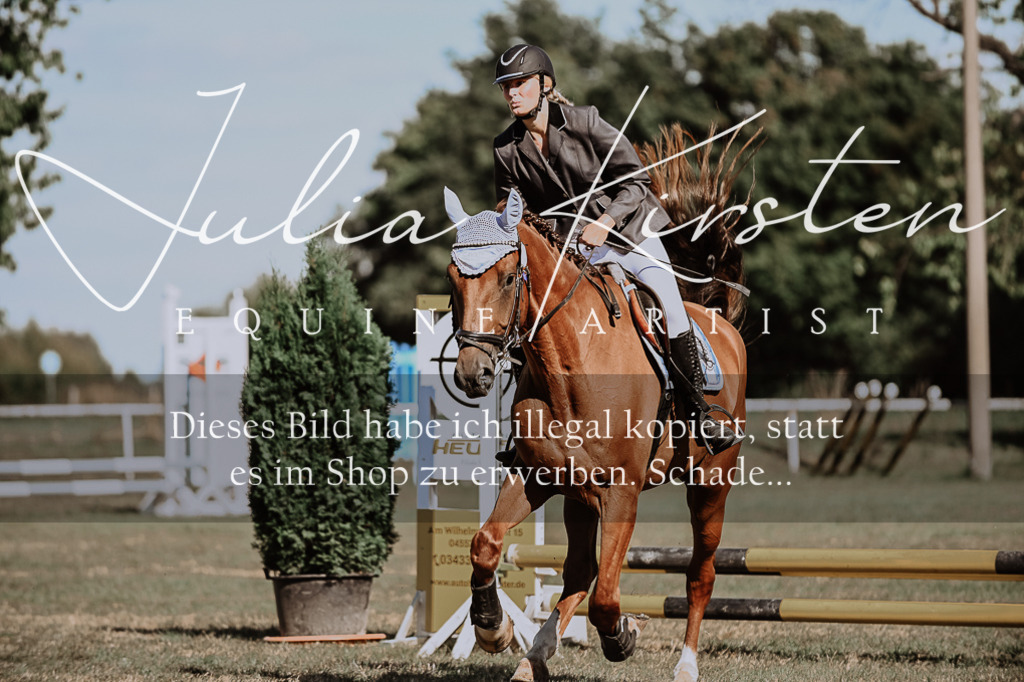 DSC_9296 | Pferde- und Turnierfotografie in Westsachsen. Pferdeportraits, Auftragszeichnungen und intuitive Kunst.