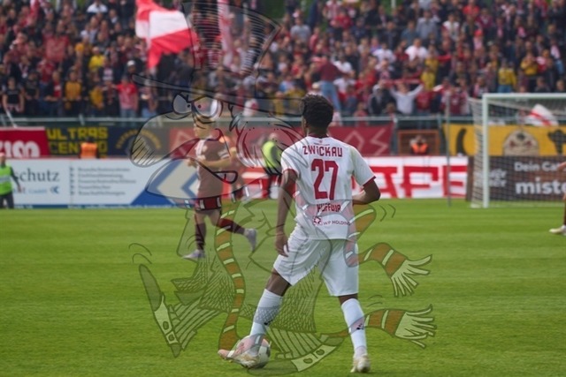 BFC Dynamo vs. FSV Zwickau 043 | mythos-online-redaktion