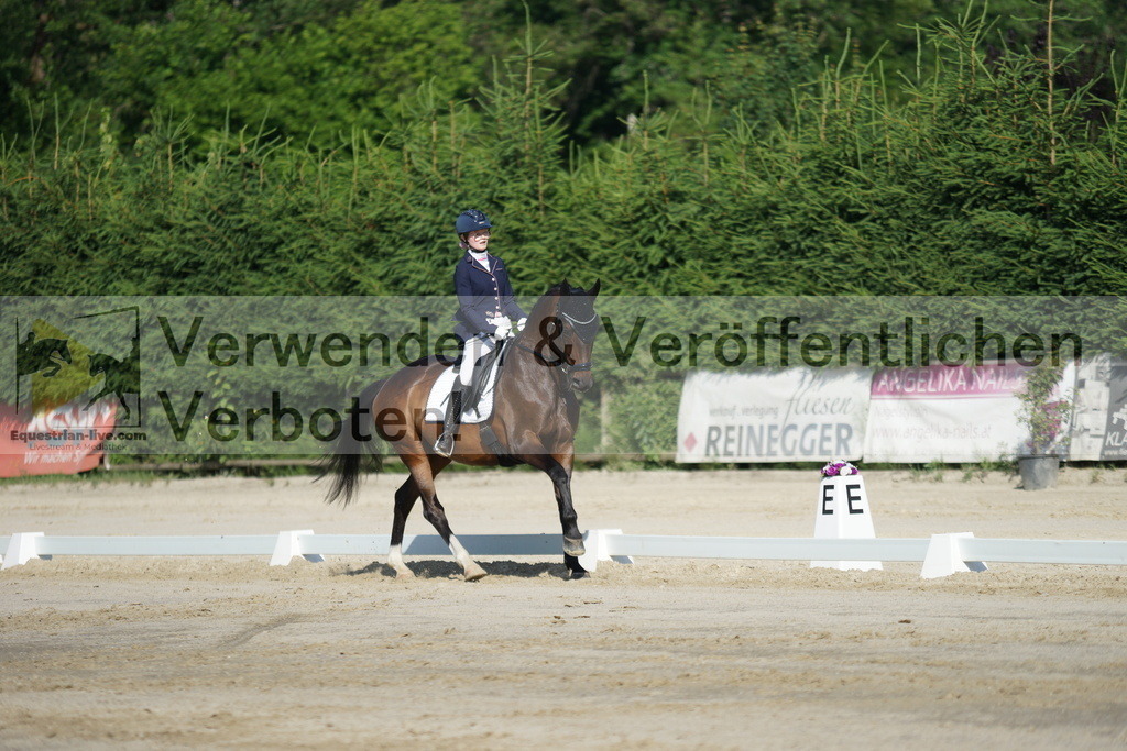 DSC04433 | equestrian-live-com