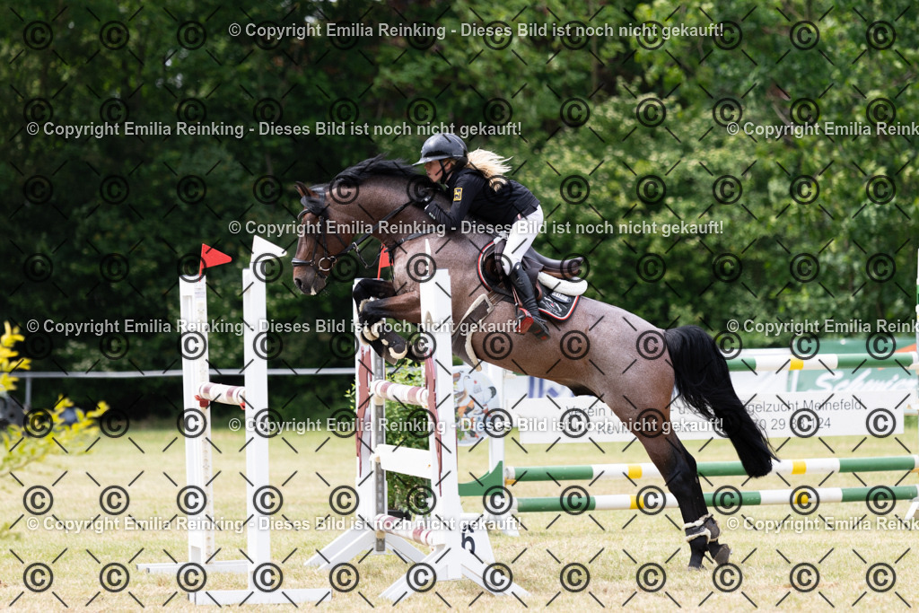 CL5A8103 | Emilia Reinking Fotografie - Realisiert mit Pictrs.com