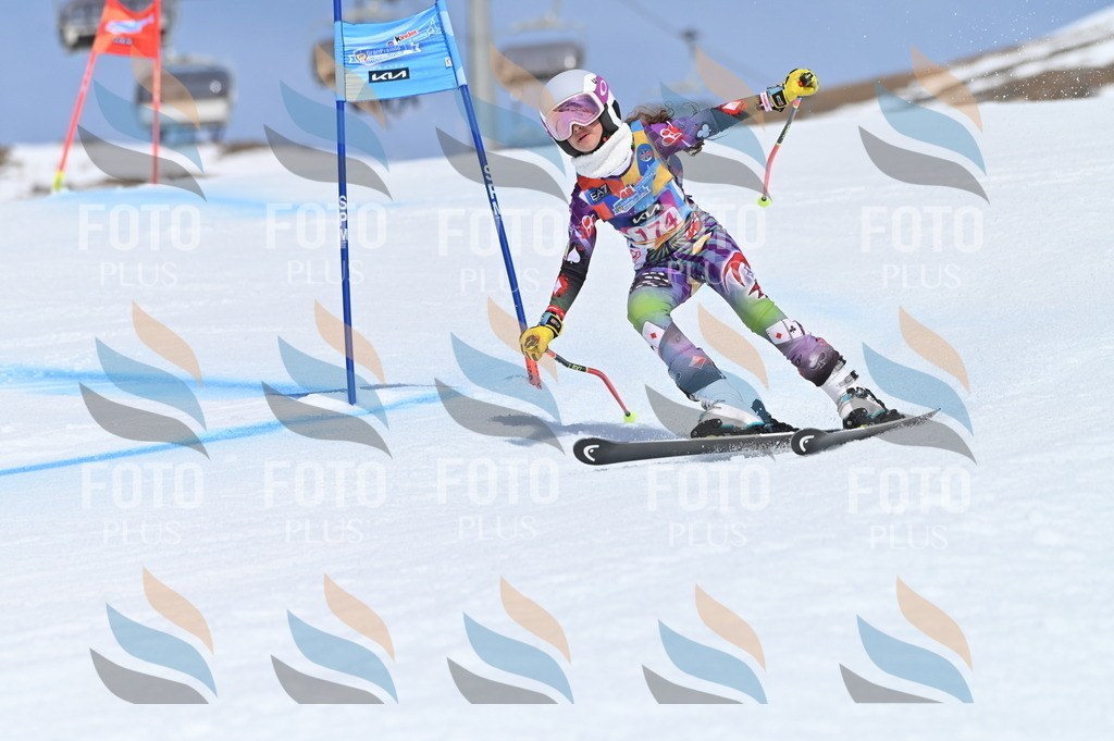 BGV_0508 | holidayphoto