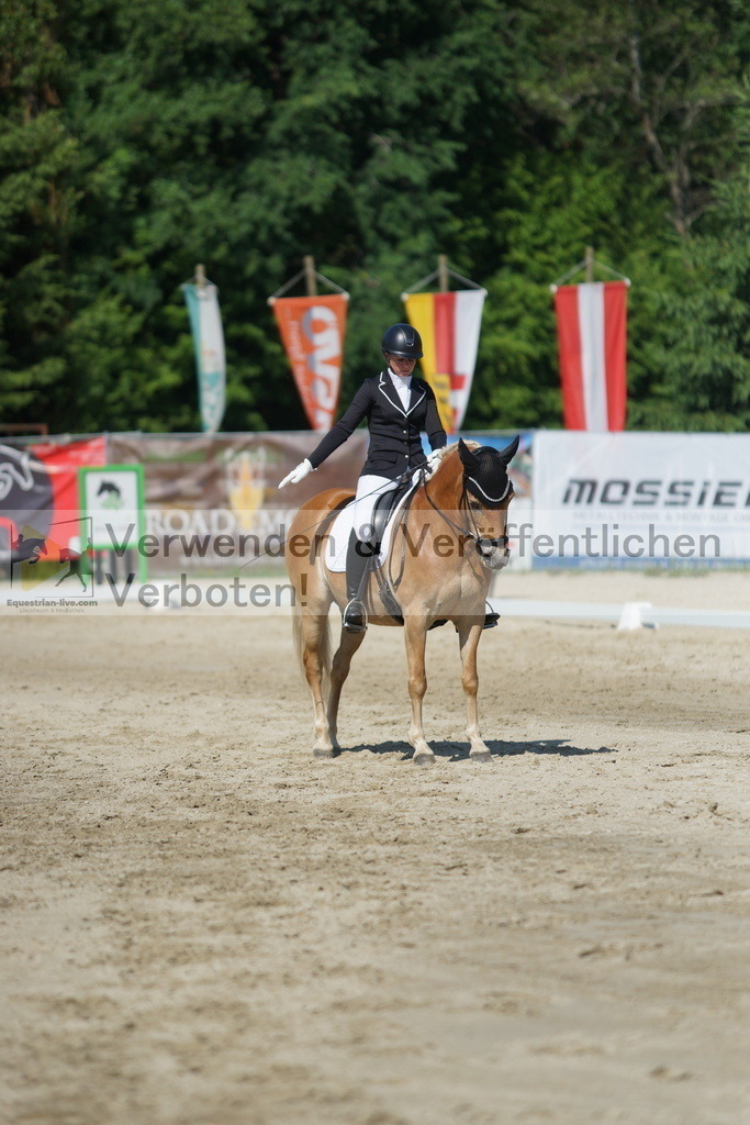 DSC02991 | equestrian-live-com