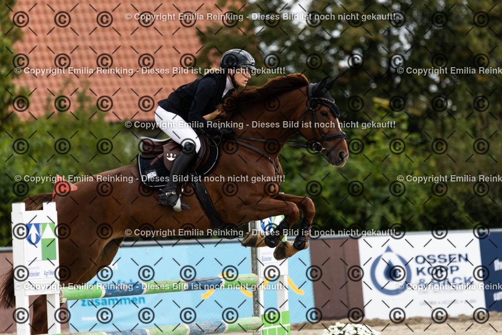 CL5A9795 | Emilia Reinking Fotografie - Realisiert mit Pictrs.com