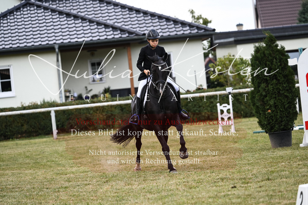 DSC_5730 | Pferde- und Turnierfotografie in Westsachsen. Pferdeportraits, Auftragszeichnungen und intuitive Kunst.