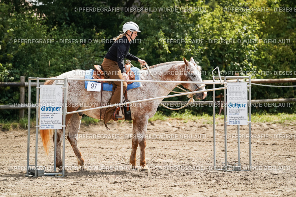 DSC06377 | Pferdegrafie