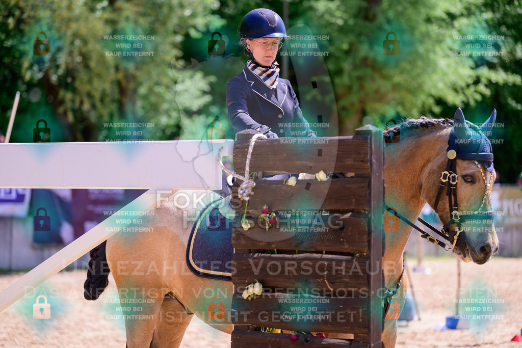 03052026-Giesenbach-05-Stiltrail-0007 | Fokus Hufschlag Fotografie - Realisiert mit Pictrs.com
