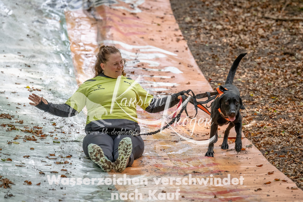 1111_ZZ90123-Bearbeitet | kk-dogfotos