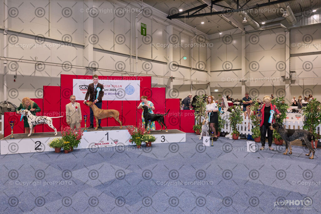 202406_ÖKV-IHA-Tulln24_NZ9_7866 | proPHOTO - Realisiert mit Pictrs.com