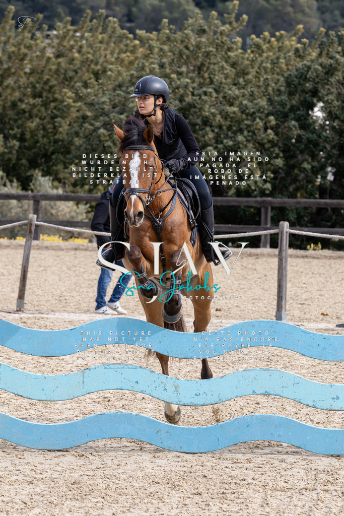 IMG_3556 | s-jay-photography - Realisiert mit Pictrs.com