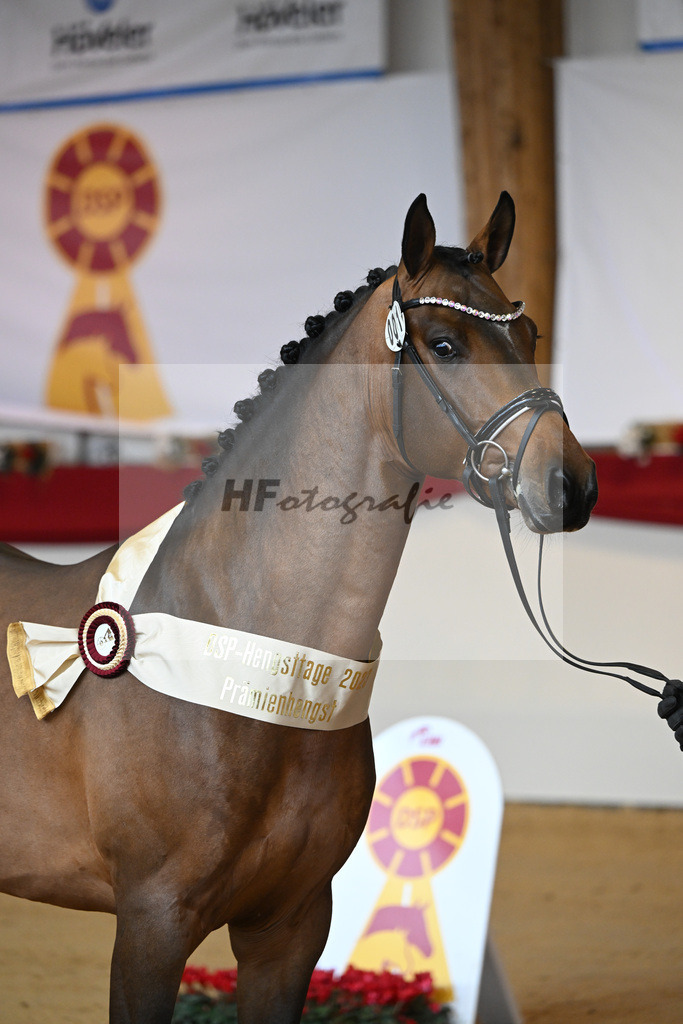 Kat-Nr. 1 Alaba_Wilbers_1231637 | hf-fotografie - Realisiert mit Pictrs.com