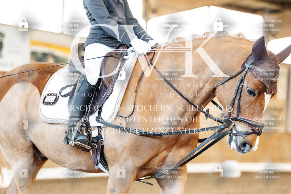 CK907937 | Turnierfotografie Pferdefotografie Trier Rheinland-Pfalz Pferdesport Reitsport Tierfotografie Sportfotografie Pferdevideo Pferdevideografie Equestrianvideography equestrianphotography  - Realisiert mit Pictrs.com