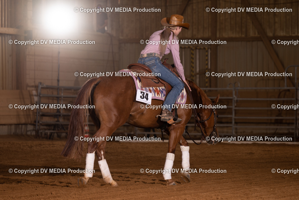 NID00977 | dv-media-shop - Realisiert mit Pictrs.com