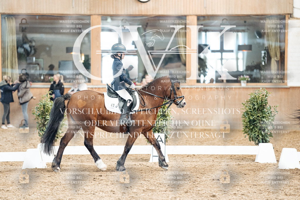 CK900423 | Turnierfotografie Pferdefotografie Trier Rheinland-Pfalz Pferdesport Reitsport Tierfotografie Sportfotografie Pferdevideo Pferdevideografie Equestrianvideography equestrianphotography  - Realized with Pictrs.com