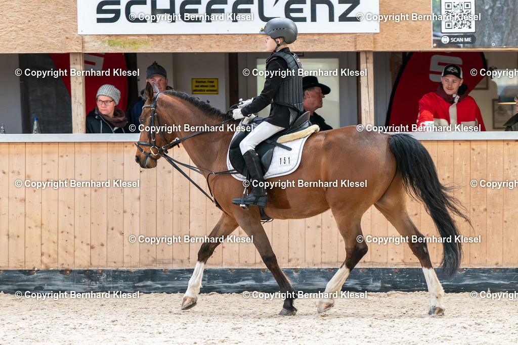 2A901509 | foto-team-bernhard - Realisiert mit Pictrs.com