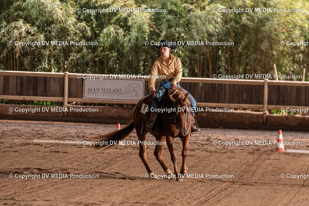 Erbach Tag 3-868 | dv-media-shop - Realisiert mit Pictrs.com