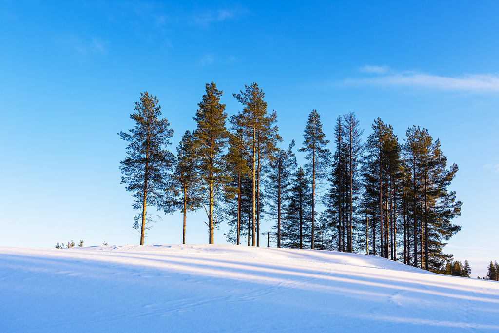 Landschaft mit Schnee im Winter bei Kuusamo, Finnland | Landschaft mit Schnee im Winter bei Kuusamo, Finnland.