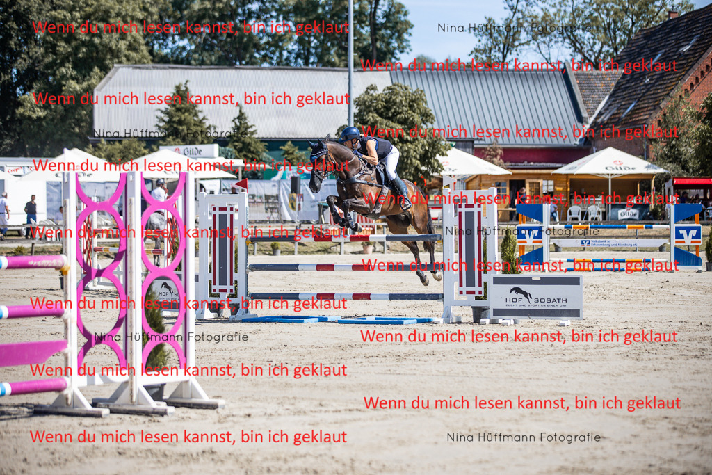 BK1A6777 | Turnierbilder Turnierfotos Nina Hüffmann Turnierfotografie Pferdefotografie Tierzeichnung Haustierzeichnung Pferdezeichnung Hundezeichnung Videograf  - Realisiert mit Pictrs.com