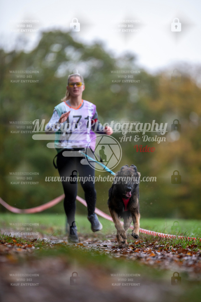 DBT_DAKM_SA_4_11_2023_Canicross-18 | PayLife