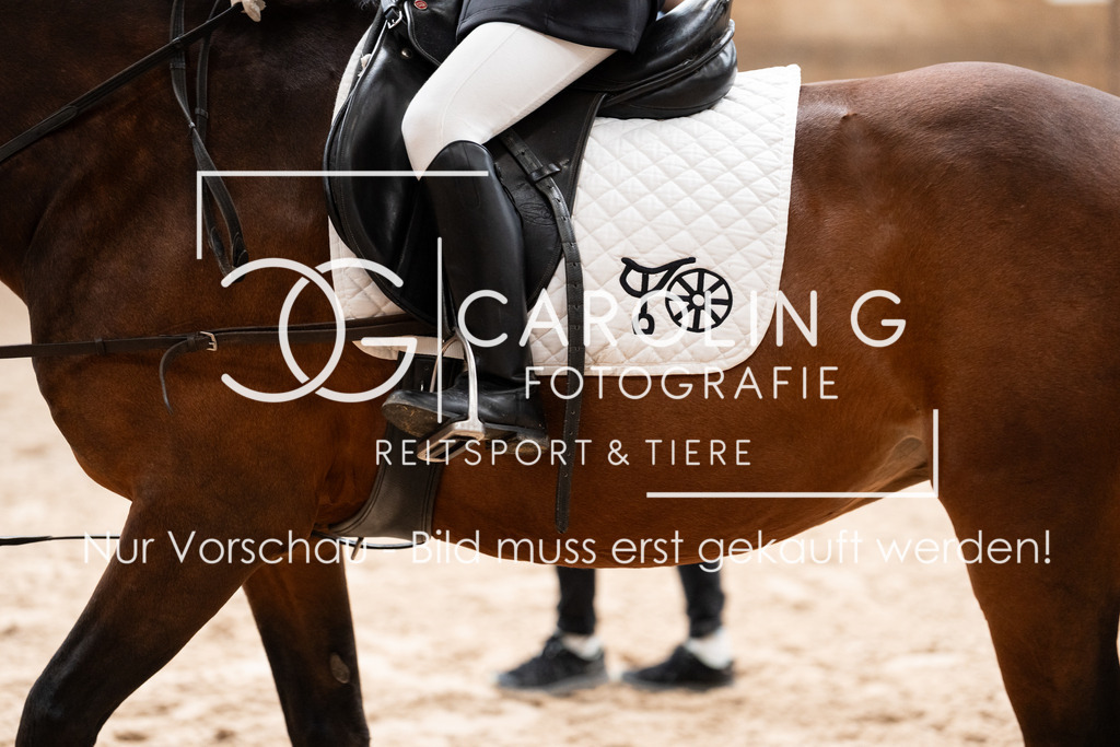 DSC05870 | Turnierfotografin Carolin Gieschke, Turnierfotografie Carolin G Fotografie, Turnierfotos Kirchheim/Teck, Esslingen, Stuttgart, Bodenseekreis