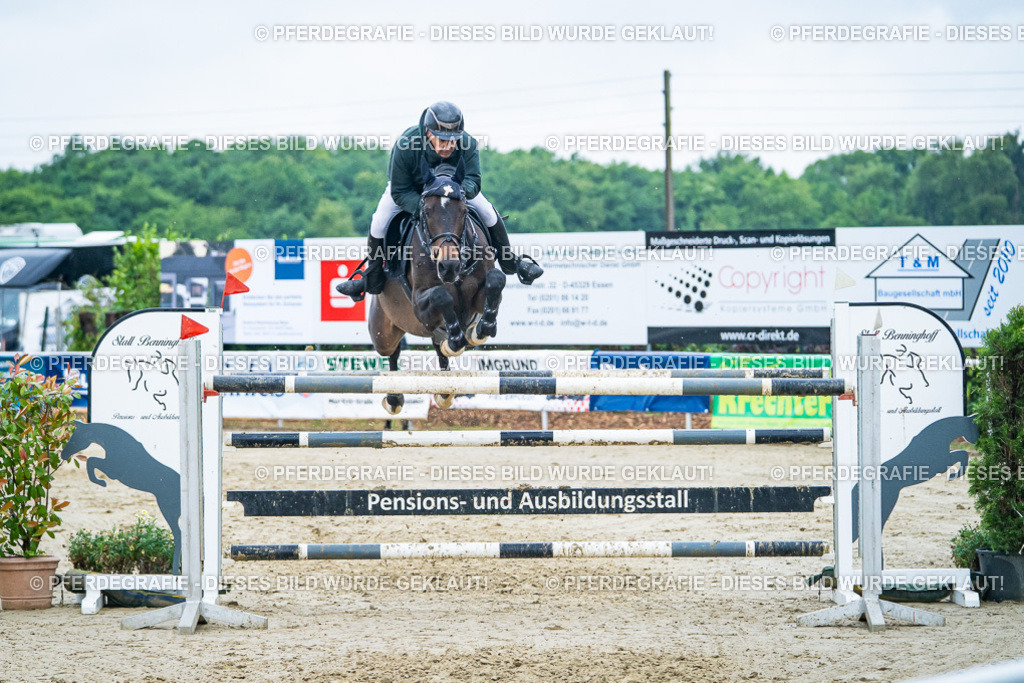 DSC00717 | Pferdegrafie