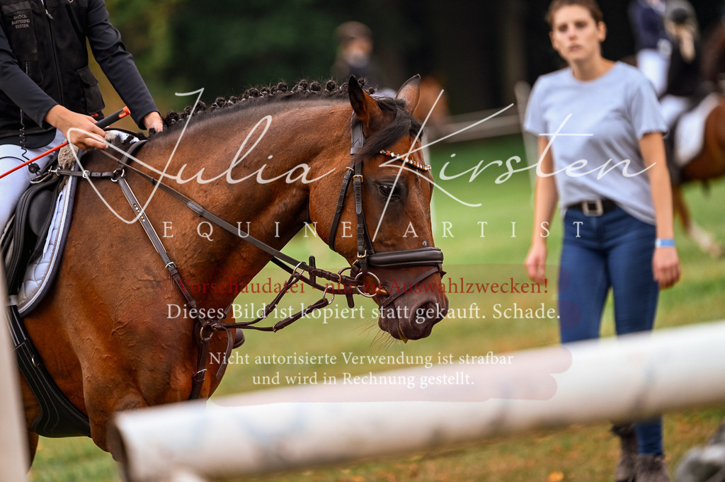 DSC_5429-2 | Pferde- und Turnierfotografie in Westsachsen. Pferdeportraits, Auftragszeichnungen und intuitive Kunst.